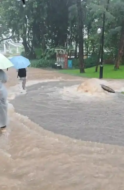 暴雨关闭1300座公园,深圳转会市场却热浪滚滚:曝两豪门争抢中场新星